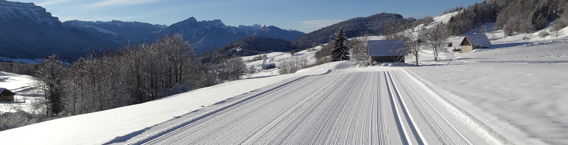 Nordic Ski - Skating