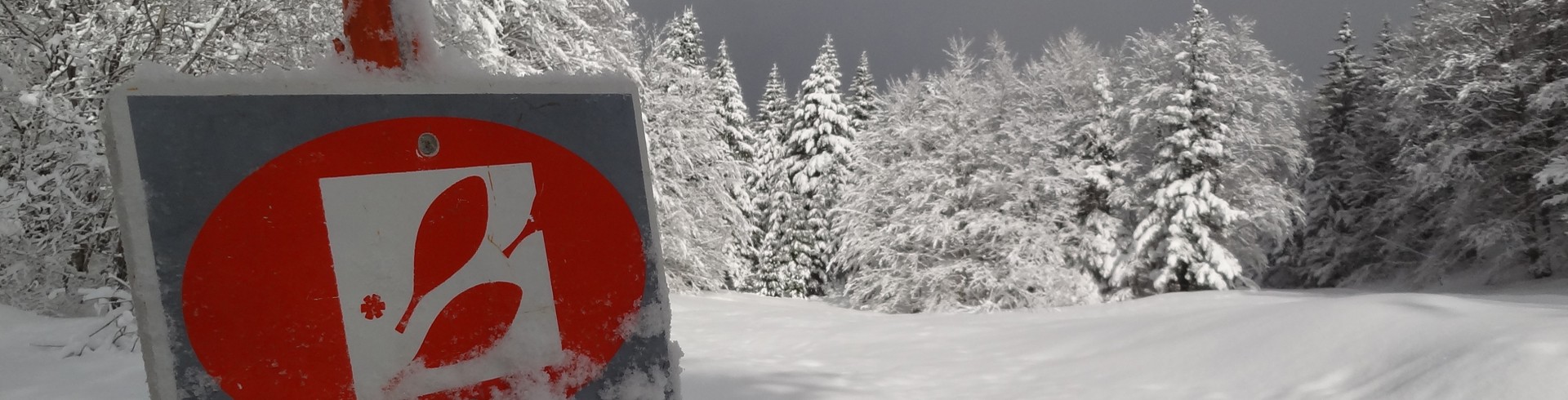 Randonnées en raquettes à neige en Chartreuse - Savoie