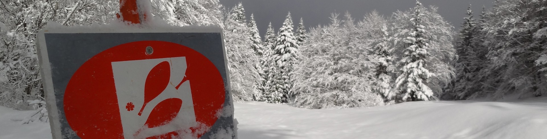 Snowshoe hiking